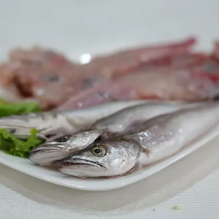 Bed and Breakfast Korani